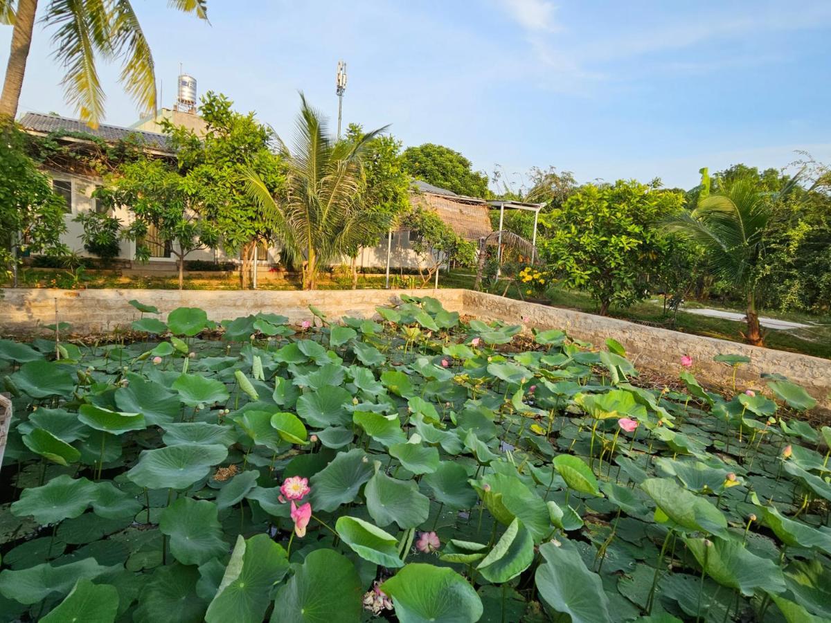 Homestay Sen & Zen Villa Vung Tau Exterior foto