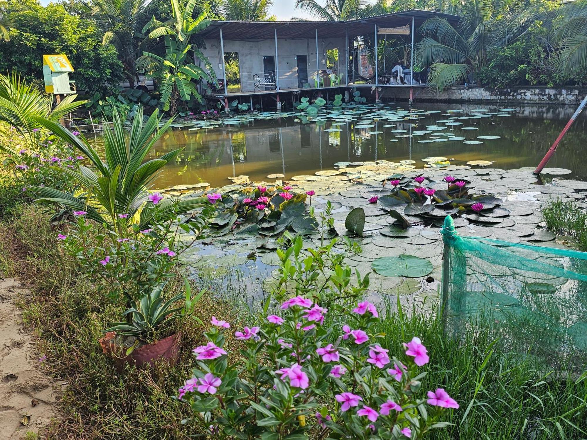 Homestay Sen & Zen Villa Vung Tau Exterior foto