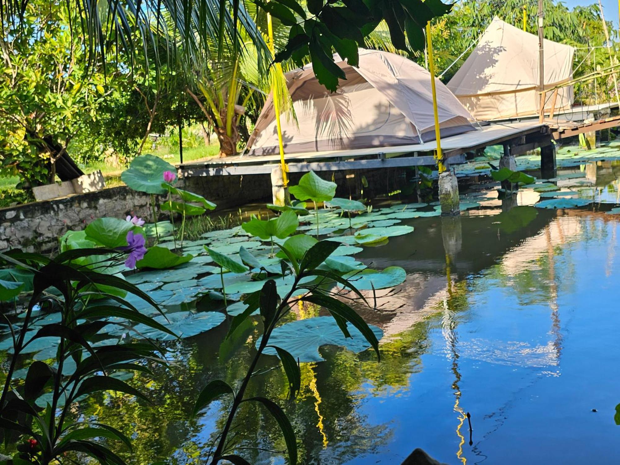 Homestay Sen & Zen Villa Vung Tau Exterior foto