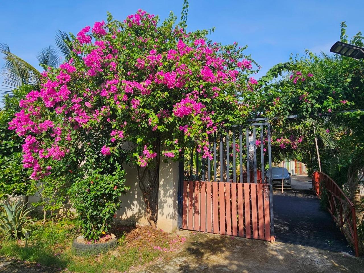 Homestay Sen & Zen Villa Vung Tau Exterior foto